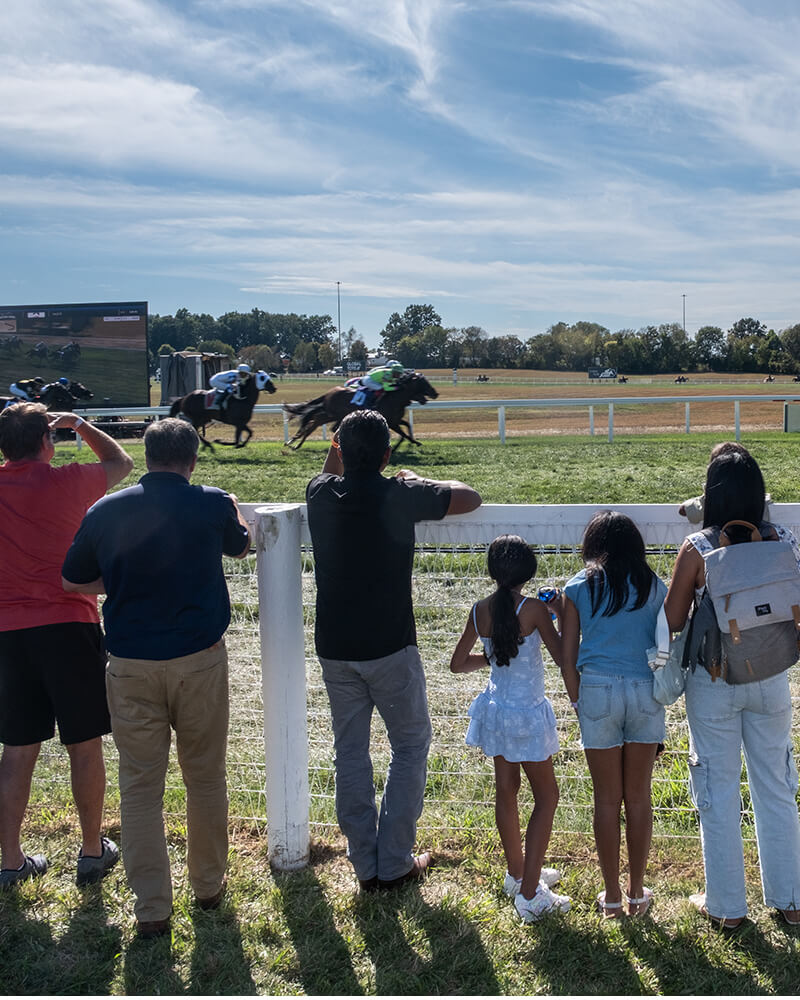 Fans watching Horses racing at NTL event
