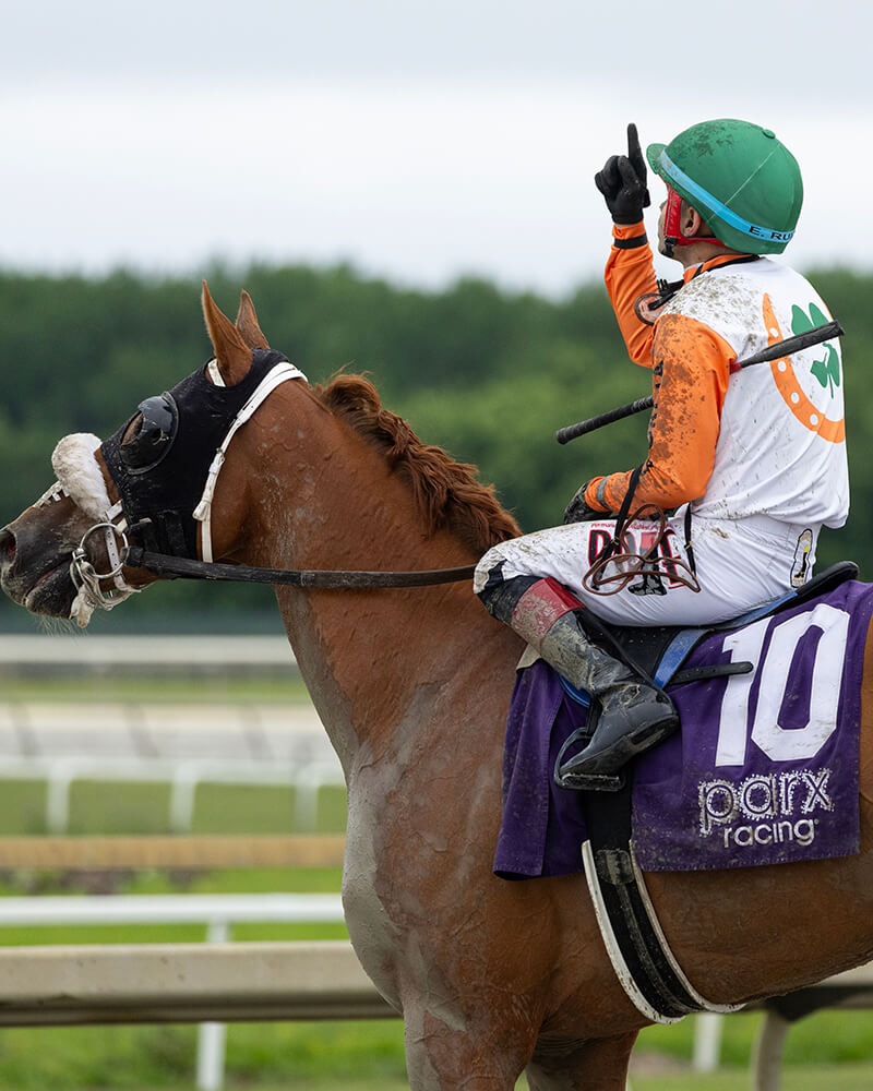 Jockey on horse after a race at NTL event